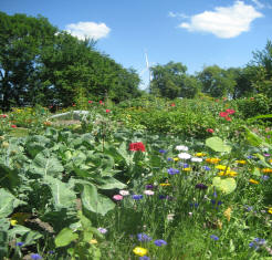 Bauerngarten