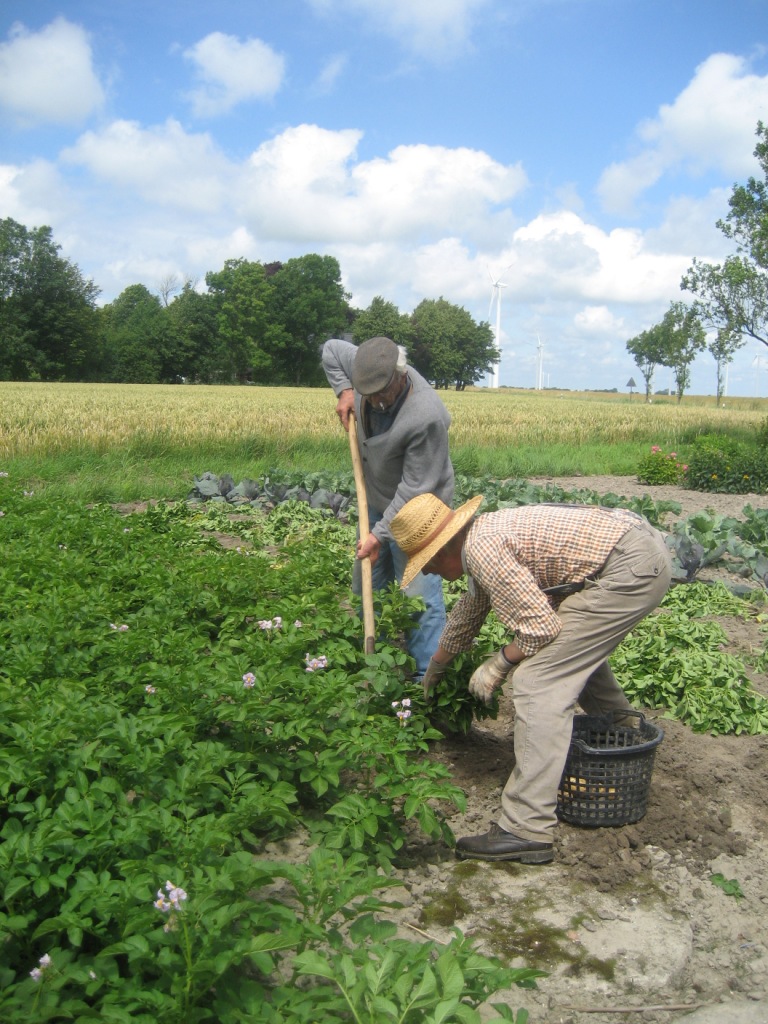 Gartenarbeit