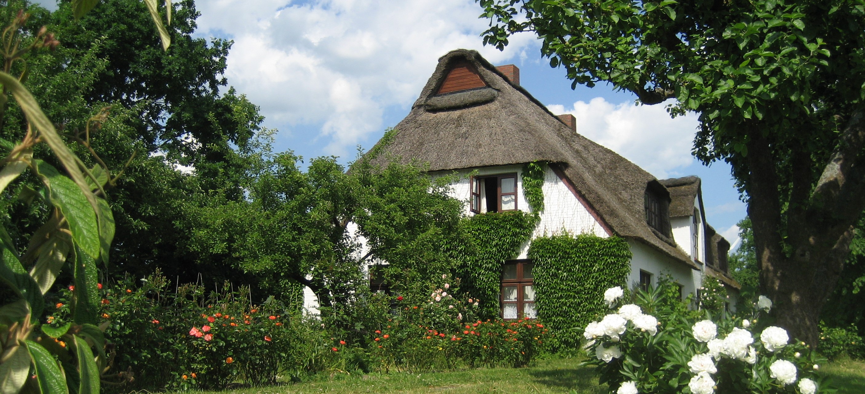 Haus