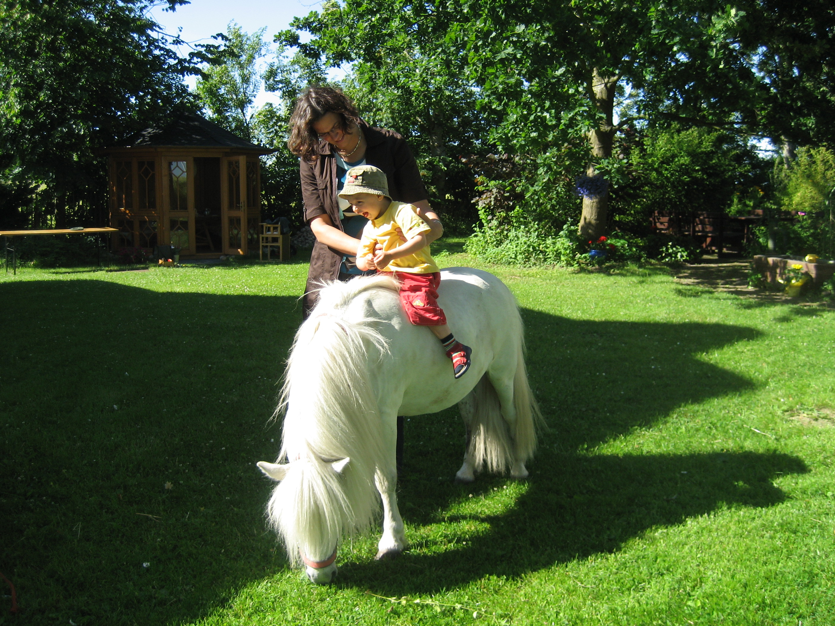 Bild Kind Pony