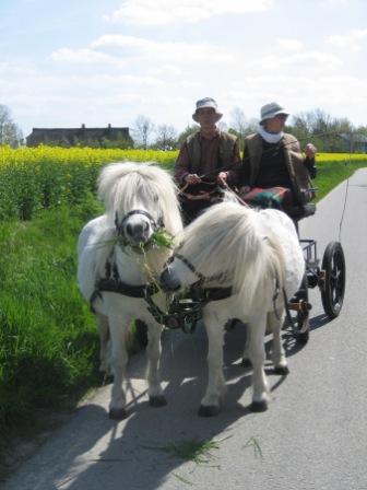 Kutsche
