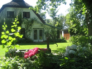 Garten hinten