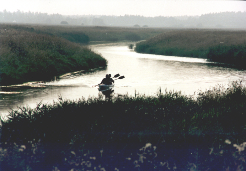 Bild Paddler